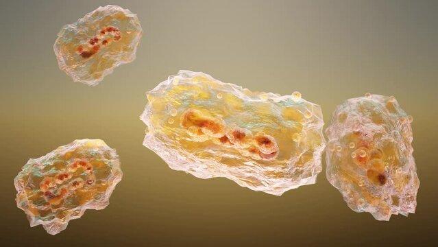 Monkeypox infection pandemic. monkeypox cell, symptoms or precautions, variant of smallpox, Mutated fever monkey, Virus threat to human health, 3d render