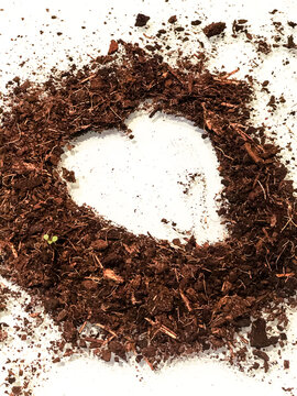 Silhueta de cora&ccedil;&atilde;o desenhado com terra para comemorar a vida.