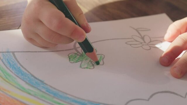 child hand baby hands coloring drawing green clover trefoil four-leaf plant using colorful pencils crayons. little kid fingers holding green pencil color in rainbow clover. Patrick's holiday concept