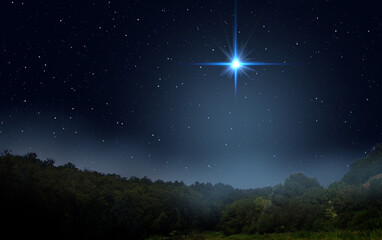  Fog is rising over the night forest. Bright star indicates the Nativity of Jesus Christ in the starry sky.