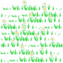 Grassy lawn. Plants with flowers, vector illustration