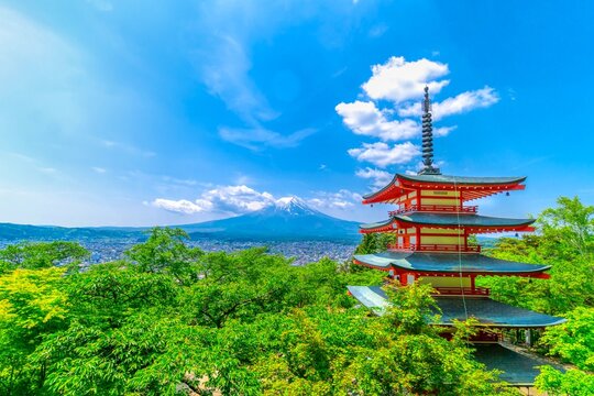 富士山　新緑　2022年5月