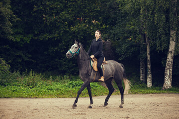 Young girl sits astride a grey horse. Girl larkes on black horse
