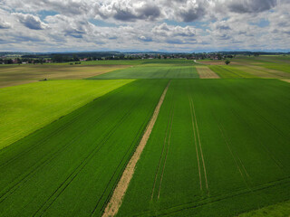 Obraz premium Ostallgäu im Sommer