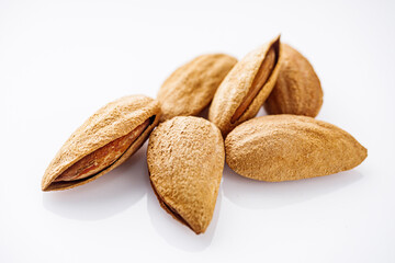 fresh almonds in shell on a white background