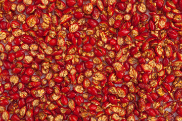 Dried rosa canina fruit.