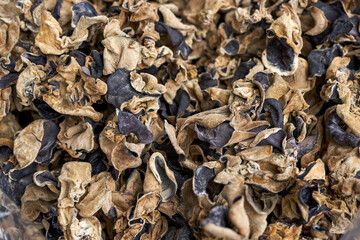 Pile of dried black fungus close-up