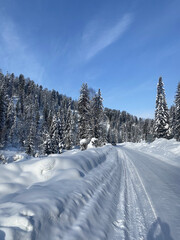 Obraz premium winter snow road near the forest