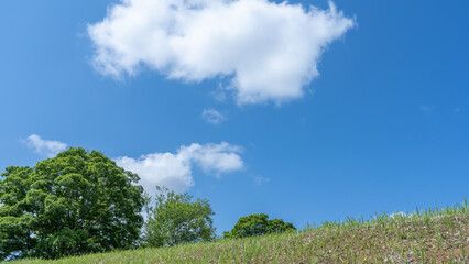 日本の快晴の青空