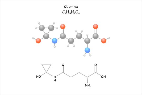 Stylized molecule model/structural formula of coprine. Mykotoxin of the common inkkap (coprinus atramentarius).