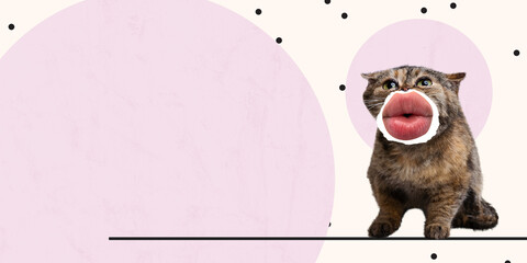Contemporary art collage. Cute image of cat with female lips element isolated over pink background