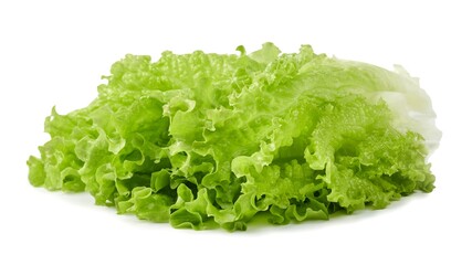 Lettuce bunch isolated on white background