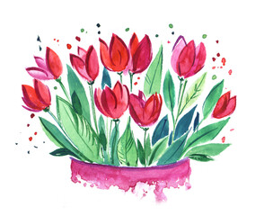 Illustration decorative element. Bouquet of bright red pink tulips green leaves, colored splashes. Hand painted watercolor on paper. Colorful sketcy drawing isolated on white background.