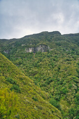 Fototapeta na wymiar The magnificent inland of the island of Madeira, hiking, Laurisilva Nationalpark