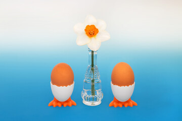 Healthy fresh eggs for breakfast concept for Spring and Easter with daffodil flower, vase, whimsical fun egg cups, brown speckled eggs. Minimal still life composition on gradient blue background.