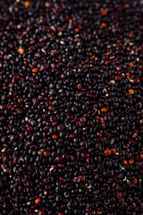 black quinoa seeds on a white acrylic background