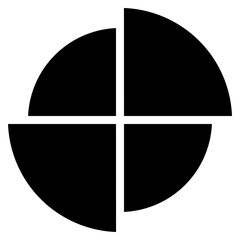 Divided Pie Icon