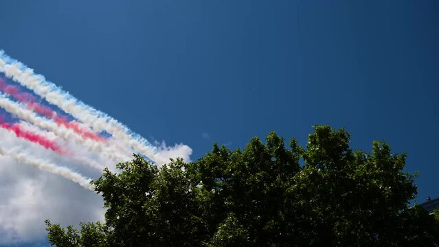 fighters. skay. fkag. georgia. parade. woods. 4k. 