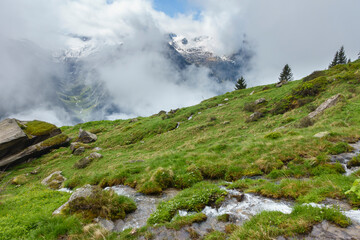 Gebirgsbach durch eine grüne Landschaft mit nebelverhangenen Bergen im Hintergrund