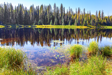 The lake reflects the forest
