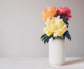 Beautiful bunch of fresh colorful peonies in full bloom in vase against white background. Copy space for text. Minimalist floral still life with blooming flowers.