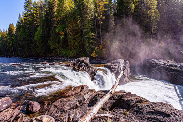 Mountain river foams on the riffles