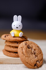 choco chipss cookies and little rabit doll