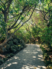 Fototapeta na wymiar Beautiful forest path with bright sun shining through the trees