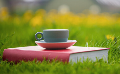 Herbal Dandelion tea