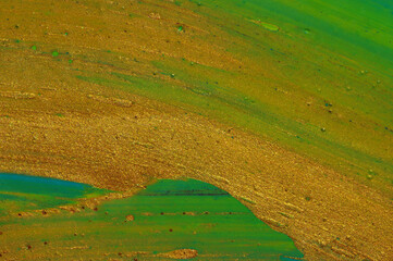 Naklejka premium Abstract paint background. Color mix and fluid art texture.