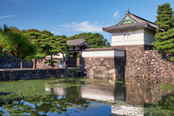 Obraz premium The Kikyo-bori moat overgrown with water plants around the Tokyo Imperial Palace. Tokyo. Japan