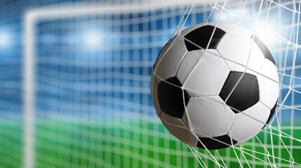 Soccer ball in the net