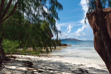 Beach at Aldabra Atoll Island group, Seychelles