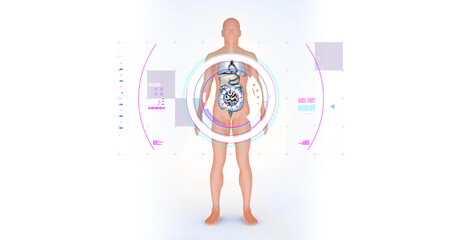 Image of digital interface over human body model