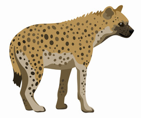 vector Spotted hyena