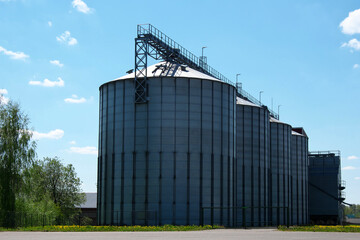 Plant for storage and processing of grain