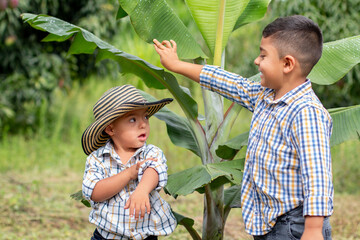 Two happy children playing in the field. Tender Colombian brothers playing with plants and enjoying...