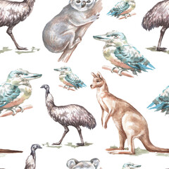 Obraz premium Animals Australia graphic illustration hand drawn koala ostrich emu isolated on white background patern seamless