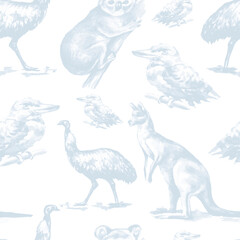 Animals Australia graphic illustration hand drawn koala ostrich emu isolated on white background  patern seamless