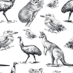 Animals Australia graphic illustration hand drawn koala ostrich emu isolated on white background  patern seamless