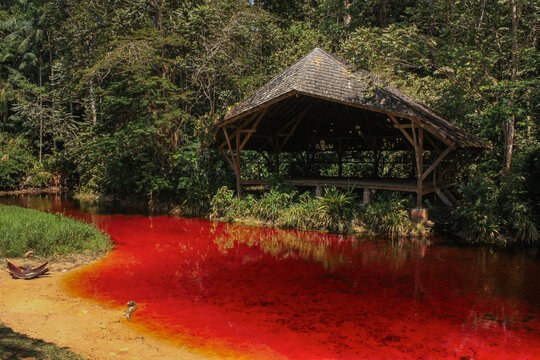 Iracoubo, French Guiana Crique Morpio is a stream of water in the Amazon jungle where the river appears red due to high levels of iron in the soil.