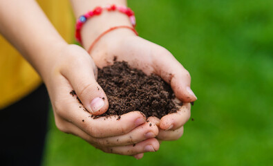 The child holds the soil in his hands. Selective focus.
