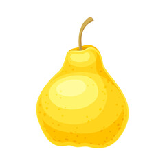 Whole Ripe Yellow Pear Pomaceous Fruit as Organic Garden Crop Vector Illustration
