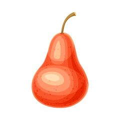 Whole Ripe Red Pear Pomaceous Fruit as Organic Garden Crop Vector Illustration