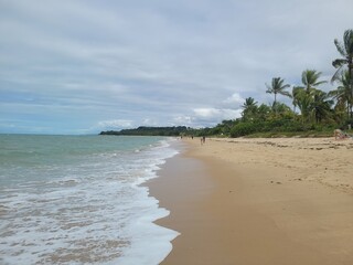 beach with palm trees