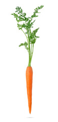 Fototapeta na wymiar Carrot with leaves on white background with clipping path.