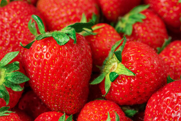 Summer background of fresh ripe strawberries. Close up