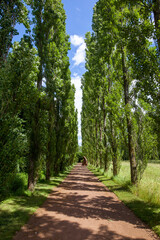 Düsseldorf Nordpark 