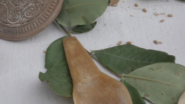 bread mold called Pintadera. Ancient bread mold of the Nuragic civilization