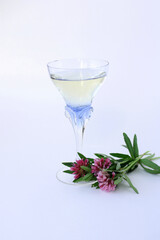 Beautiful glass of champagne on a white background. Antique blue glass wine glass and small bouquet of clover. Vertical photo.